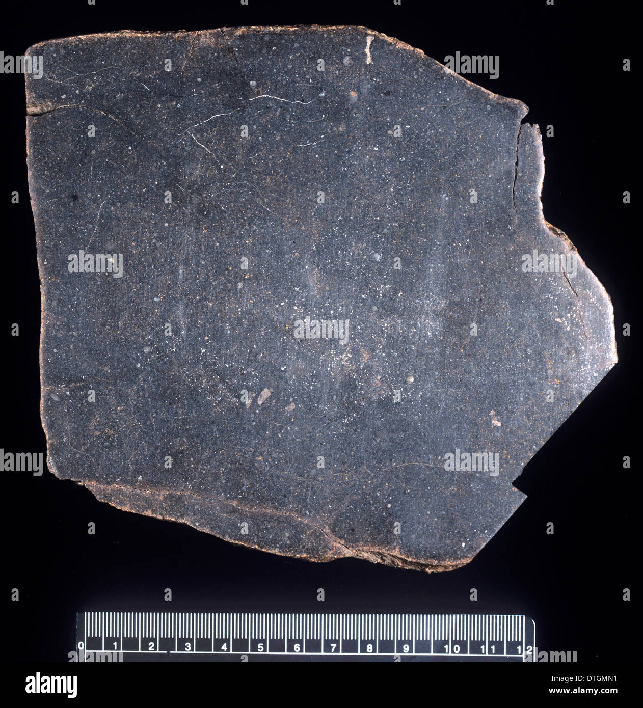 Brownfield (1973) H3.7 ordinary chondrite Stock Photo