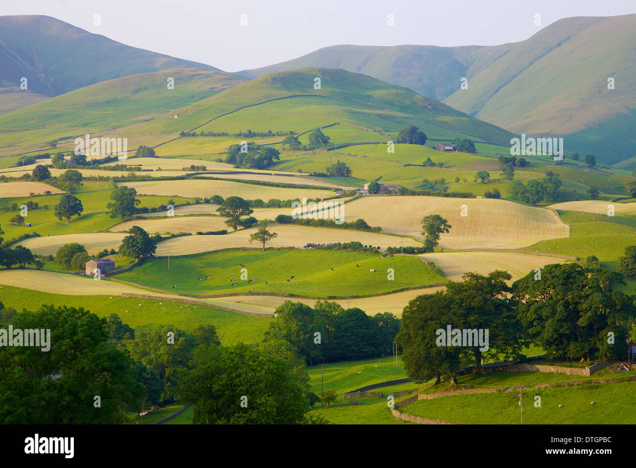 Pastoral Scene of Hill Farms below the Howgill Fells Yorkshire Dales National Park,Cumbria. Hay time Stock Photo