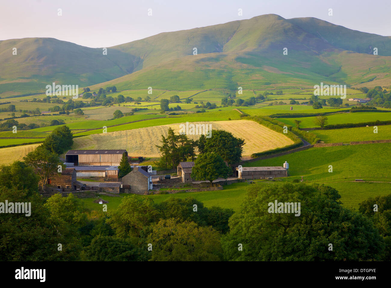 Hill Farm below the Howgill Fells Yorkshire Dales National Park, Cumbria, England. Hay time. Stock Photo