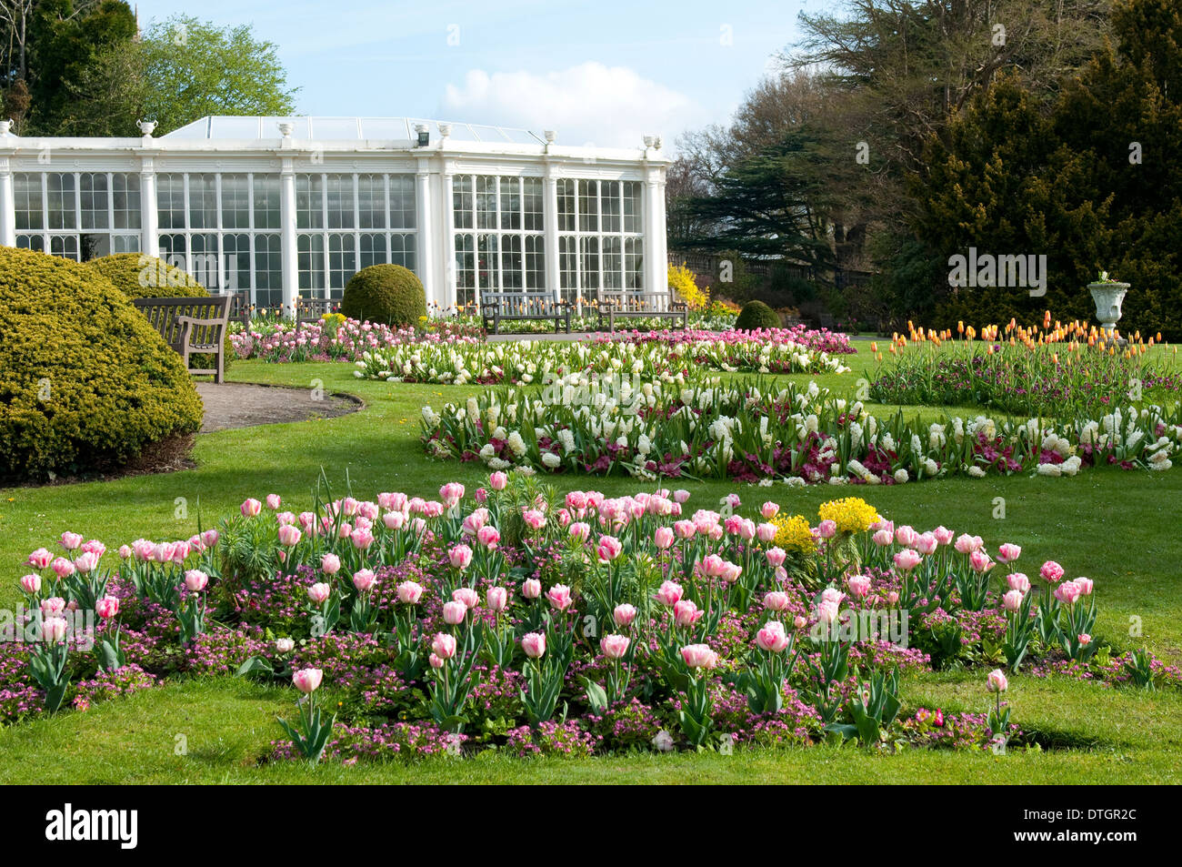 The Camellia House and Gardens at Wollaton Hall and Deer Park