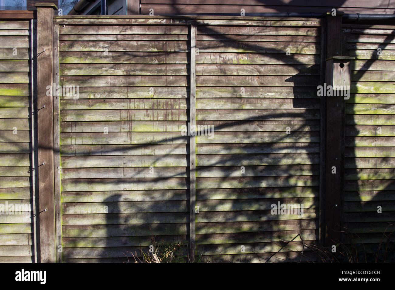 Wooden panel garden fence with tree shadow and birdbox Stock Photo