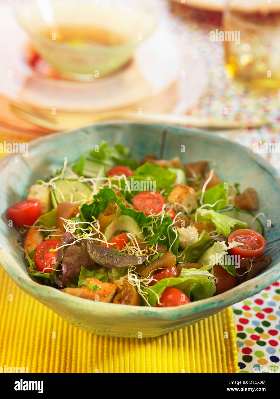 Cochayuyo seaweed,lettuce,cherry tomato,cucumber and luzerne sprout salad with croutons Stock Photo