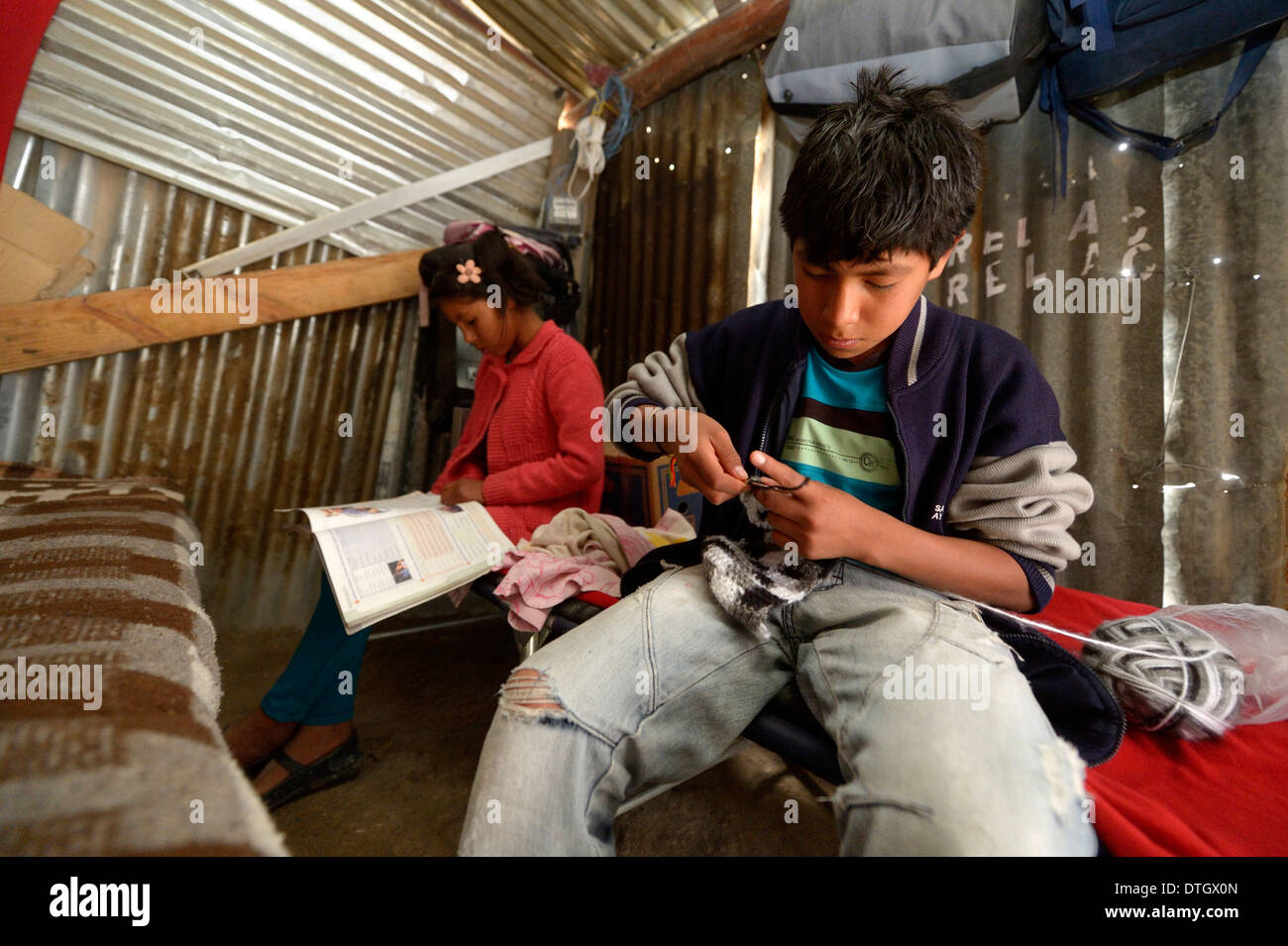 Adolescent boy, 14 years, knitting a scarf, his sister, 12 years, doing her homework, in a simple hut made of corrugated iron Stock Photo