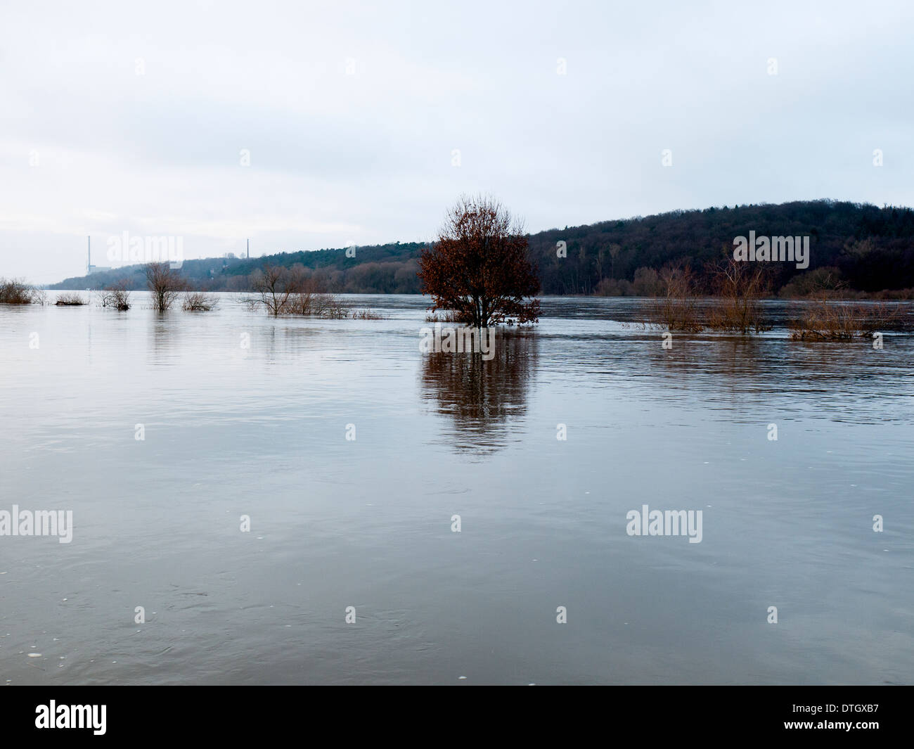 Flood on the River Elbe near Geesthacht, Germany. Stock Photo
