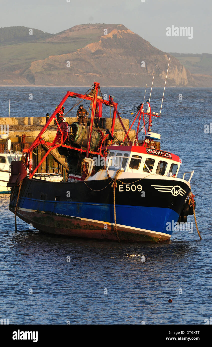 A fishing boat in Lyme Regis harbour Dorset UK Stock Photo - Alamy