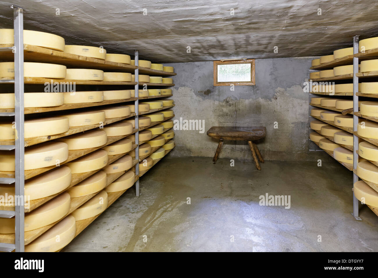 Maturation cellar for Alpine cheese, Alpine dairy, Alpe Obere Falz alp near Schetteregg, Egg, Bregenz Forest, Vorarlberg Stock Photo