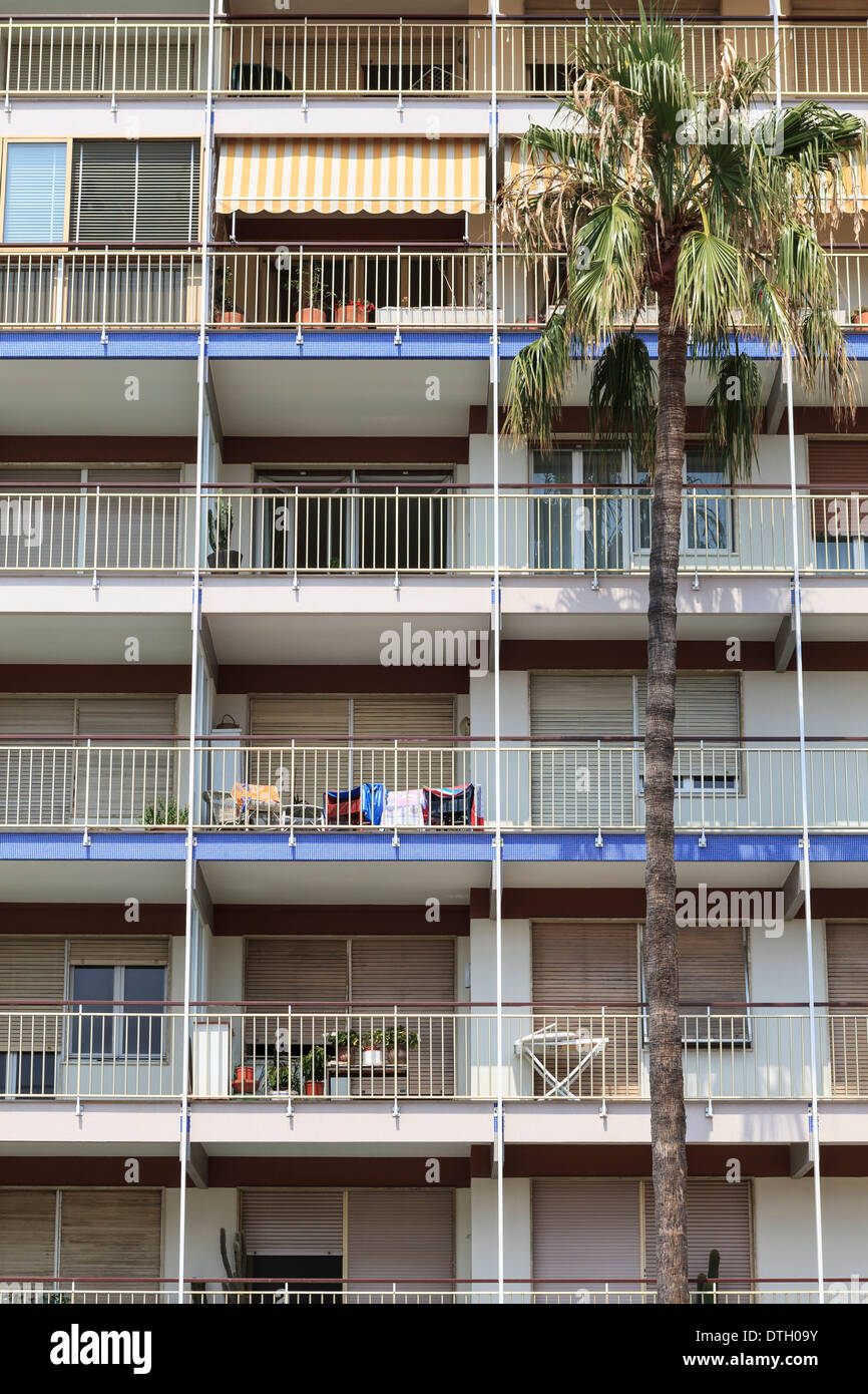 Residential building with balconies, large palm tree at the front, Sanremo, Liguria, Italy Stock Photo