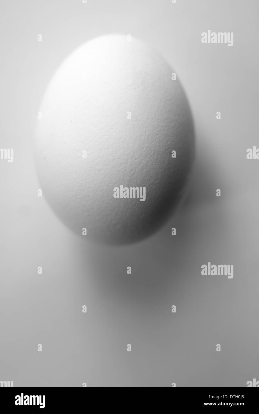 white egg Stock Photo
