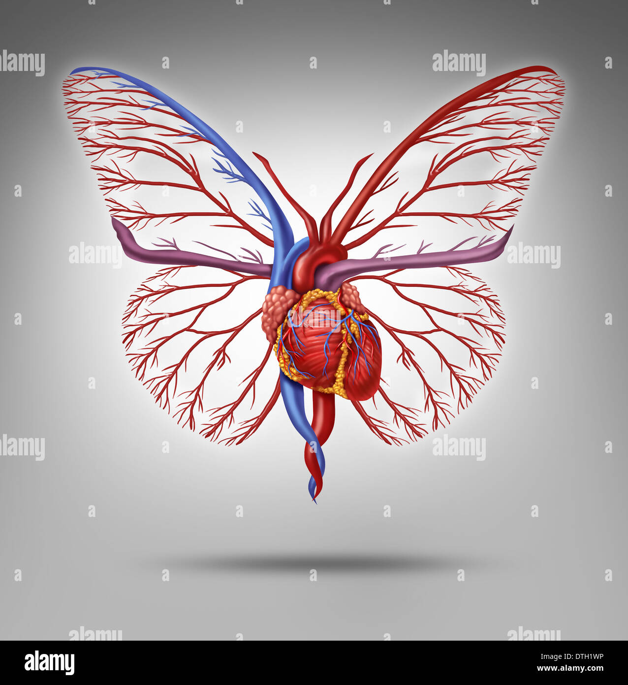Healthy human lifestyle and cardiovascular research concept as a heart organ shaped as a butterfly with wings flying up as a metaphor for active life and fitness or disease research success. Stock Photo