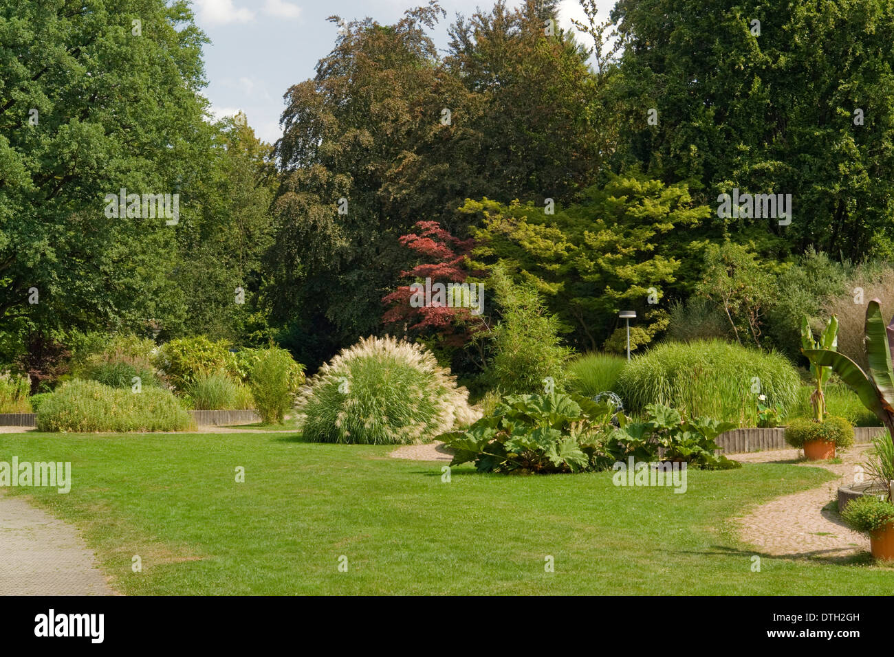 a sunny park with various plants and flowers at summer time in Southern Germany Stock Photo