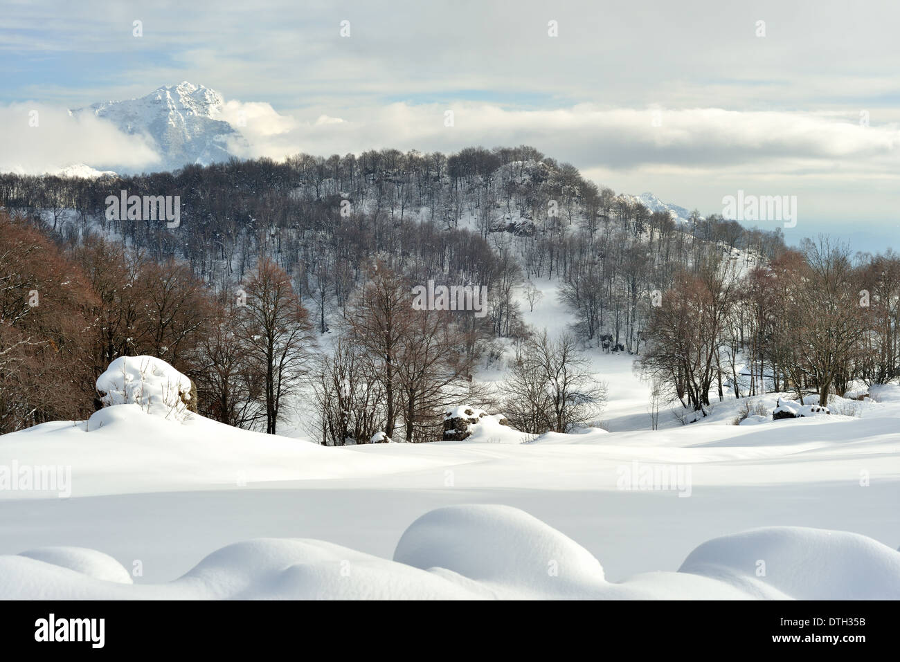 winter landscape Stock Photo