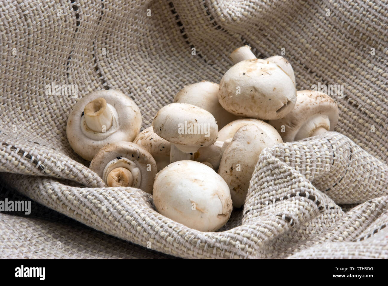 Closed cup mushrooms Stock Photo Alamy