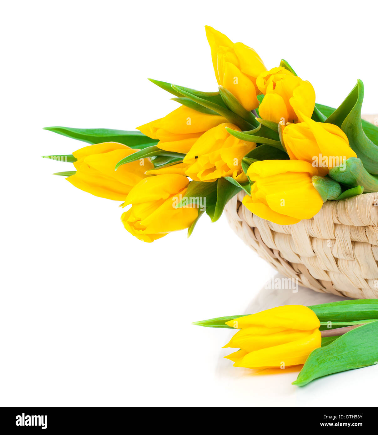 Yellow tulip bouquet hi-res stock photography and images - Alamy