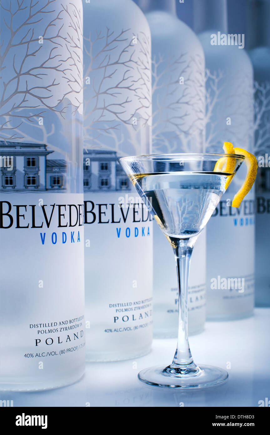 photos of belvedere-vodka-mosphere