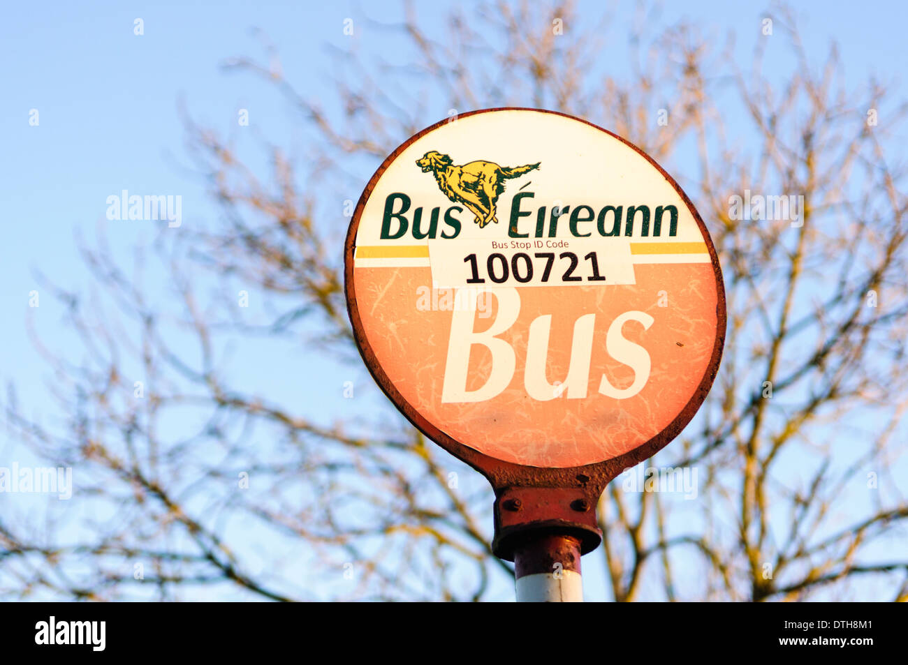 can i have the phone number of bus éireann please