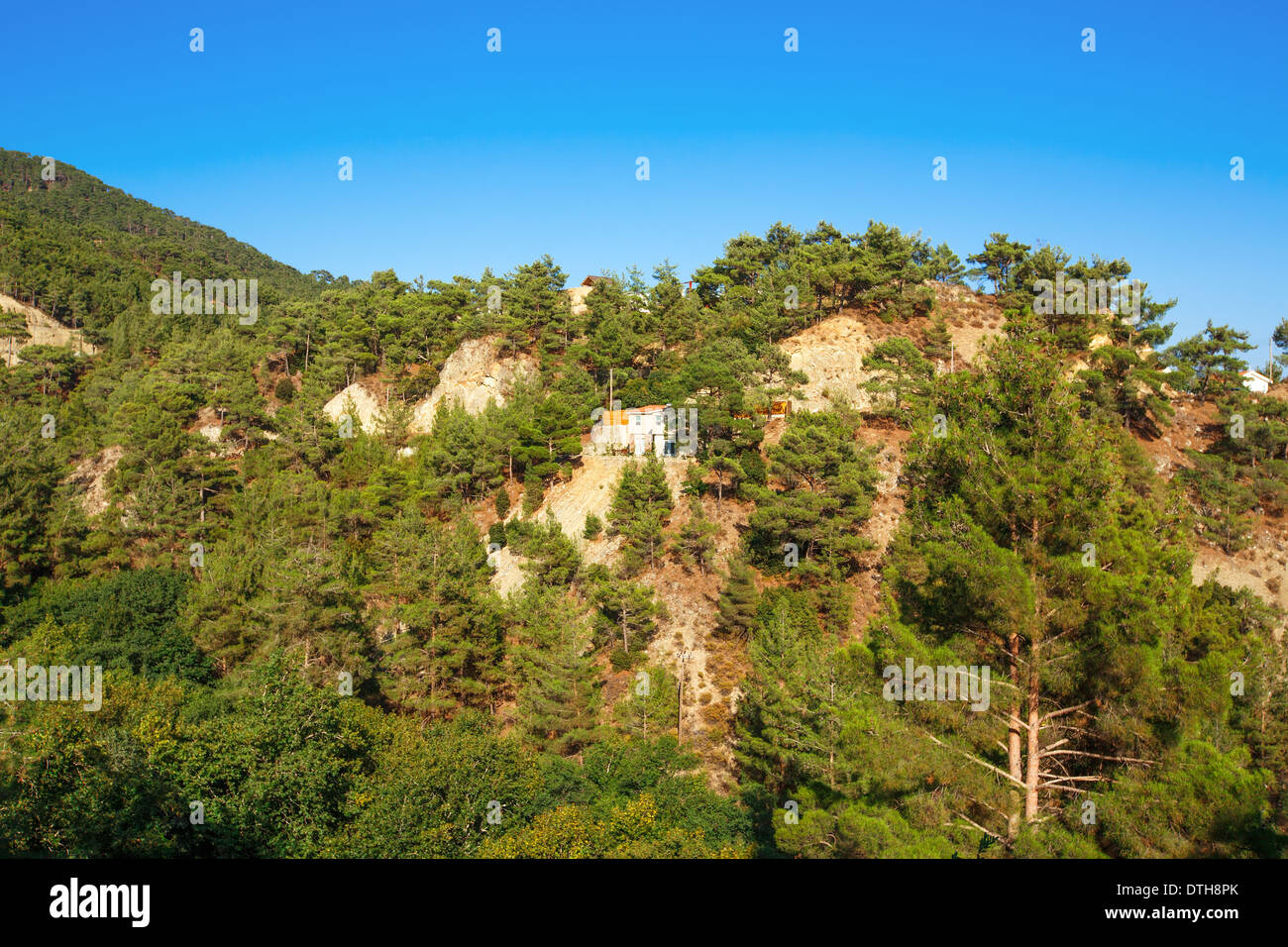 Landscape with forest and house in Cyprus Stock Photo Alamy