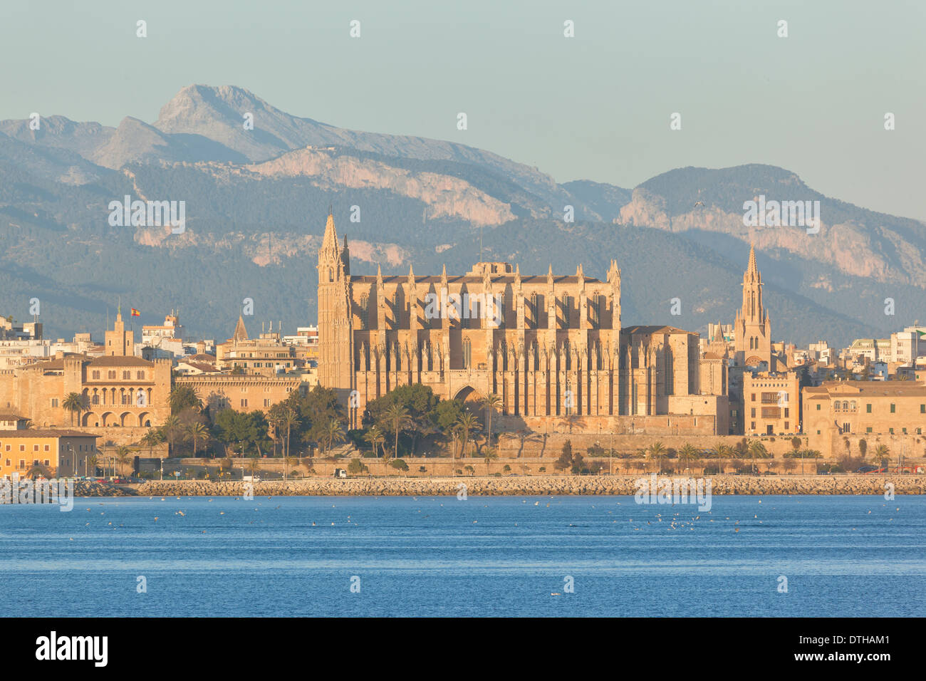 Palma de Majorca Gothic cathedral in Wintertime. South facade. Tramuntana mountains. Majorca, Balearic islands, Spain Stock Photo
