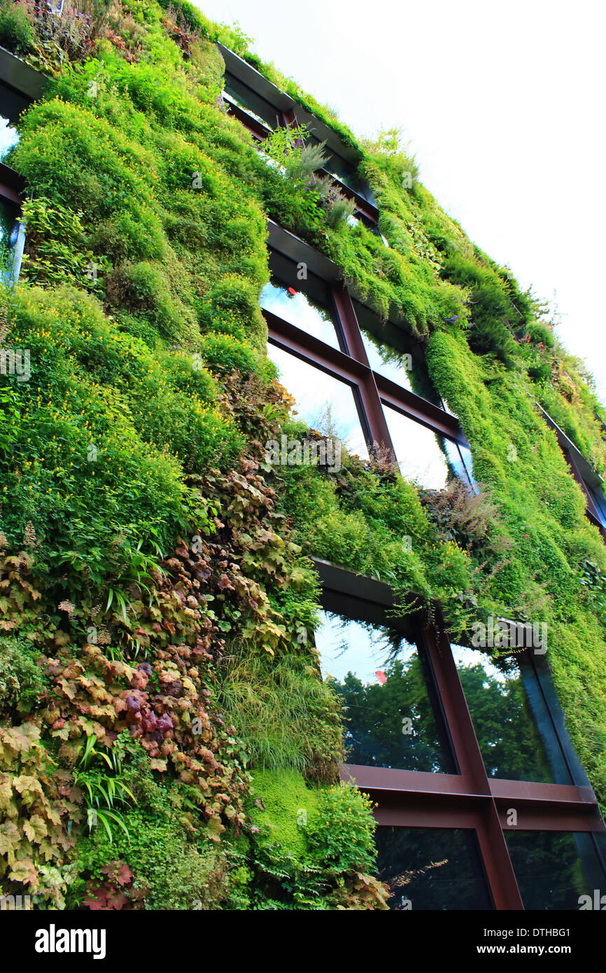 An example of a "Green Wall" or "Living Wall" of a building in Paris