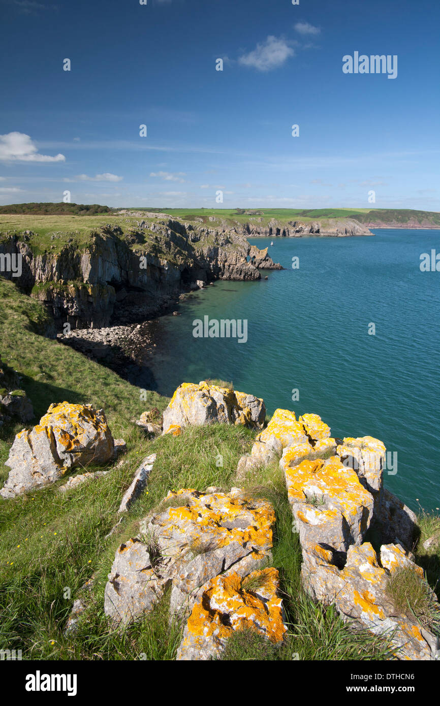 coastline and sea cliffs, Pembrokeshire, South Wales Stock Photo