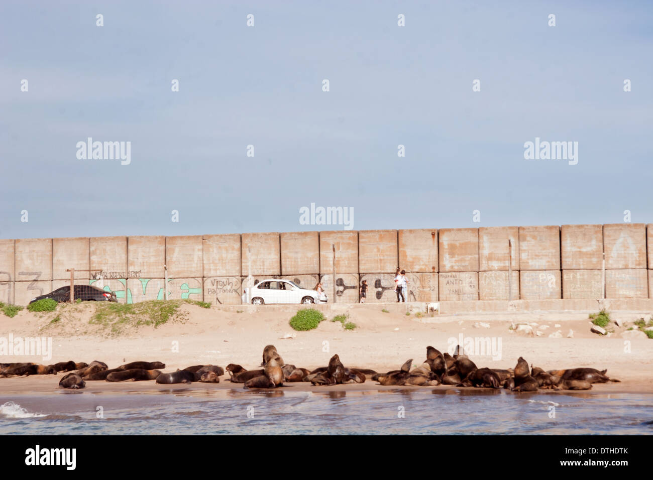 Mar del Plata promenade and sea lion placement , Argentine Stock Photo