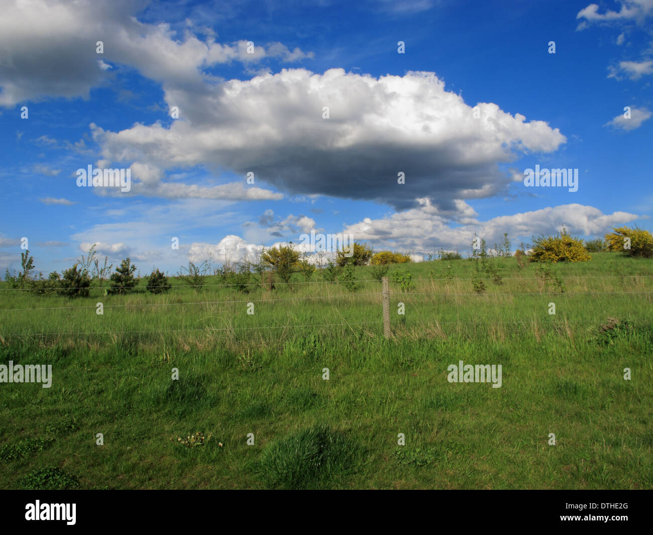 a landscape view a footpath with blue sky and white clouds in the ...