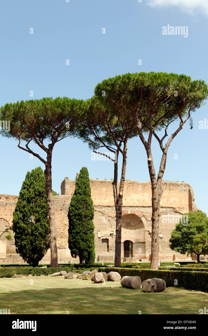 View over the garden and pine trees to the ruins of buildings along the outer west wall of the Baths of Caracalla Rome Italy Stock Photo