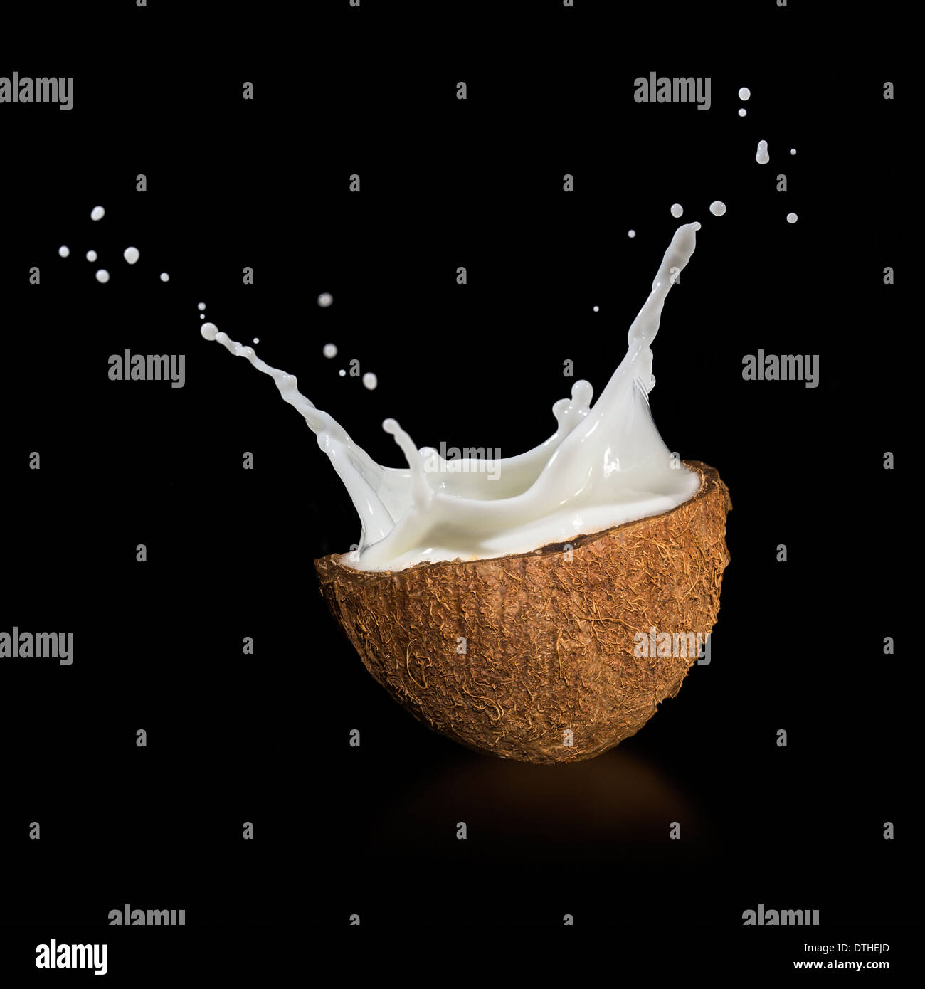 Coconuts with milk splash on black background Stock Photo