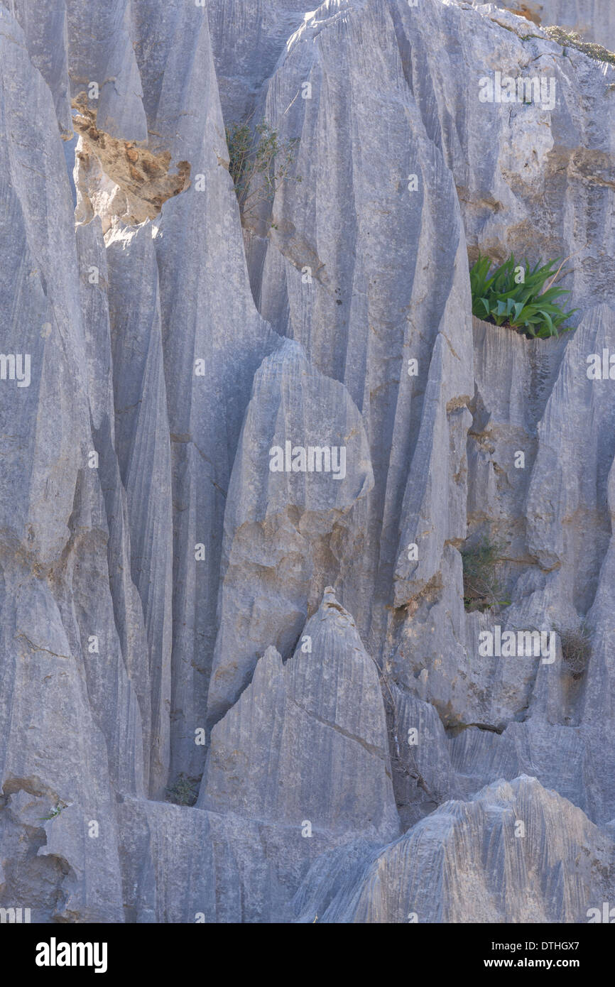 Limestone rocks shaped by water erosion. Tramuntana mountains. Escorca