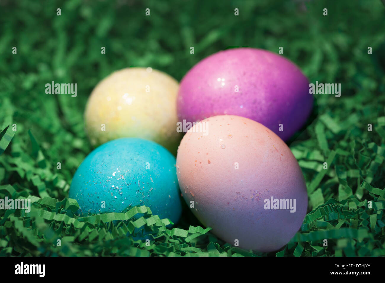 Colored Easter eggs in Easter grass. Stock Photo