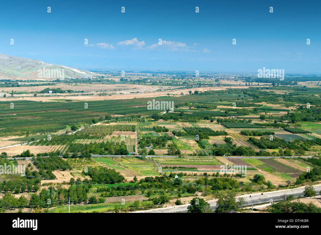landscape whit olive trees Stock Photo - Alamy