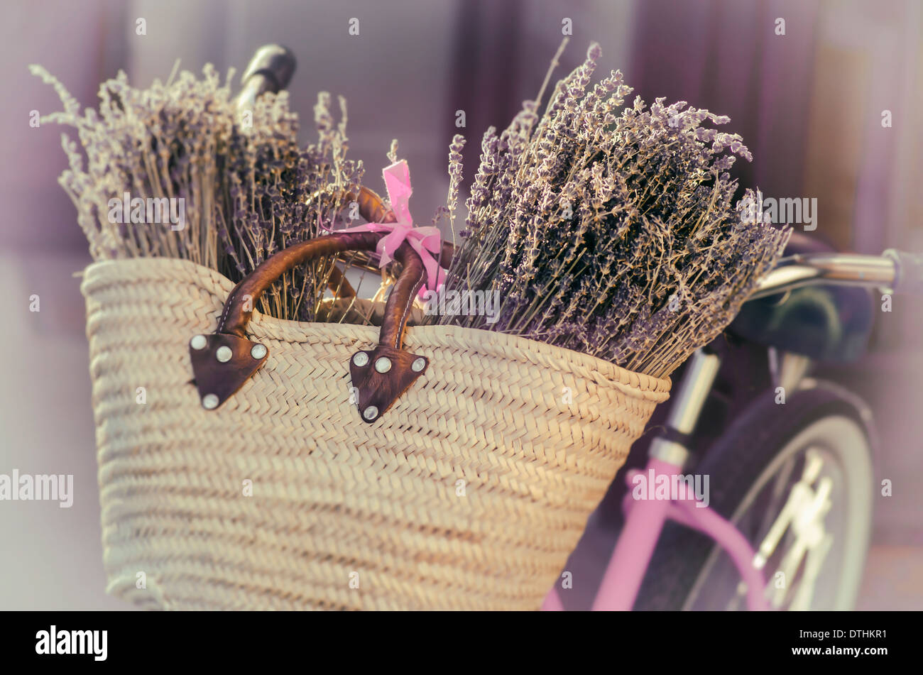 Lavender in basket on a bike Stock Photo