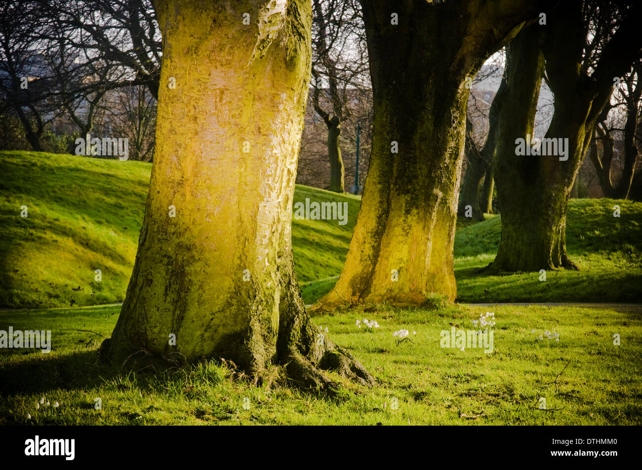 Mowbray park sunderland hires stock photography and images Alamy