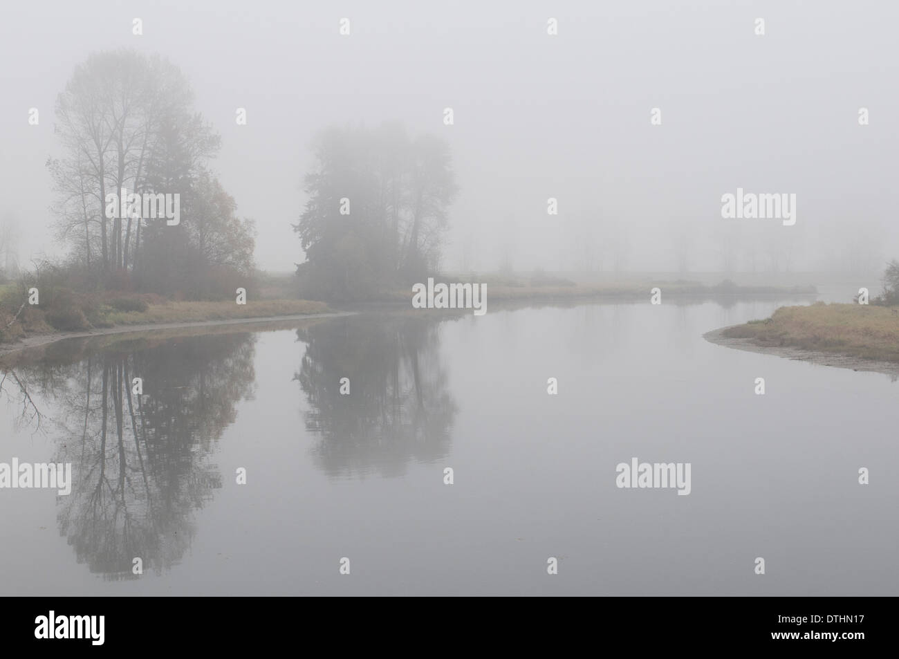 Foggy morning along the Alouette Rive, Pitt Meadows, BC, Canada. Stock Photo