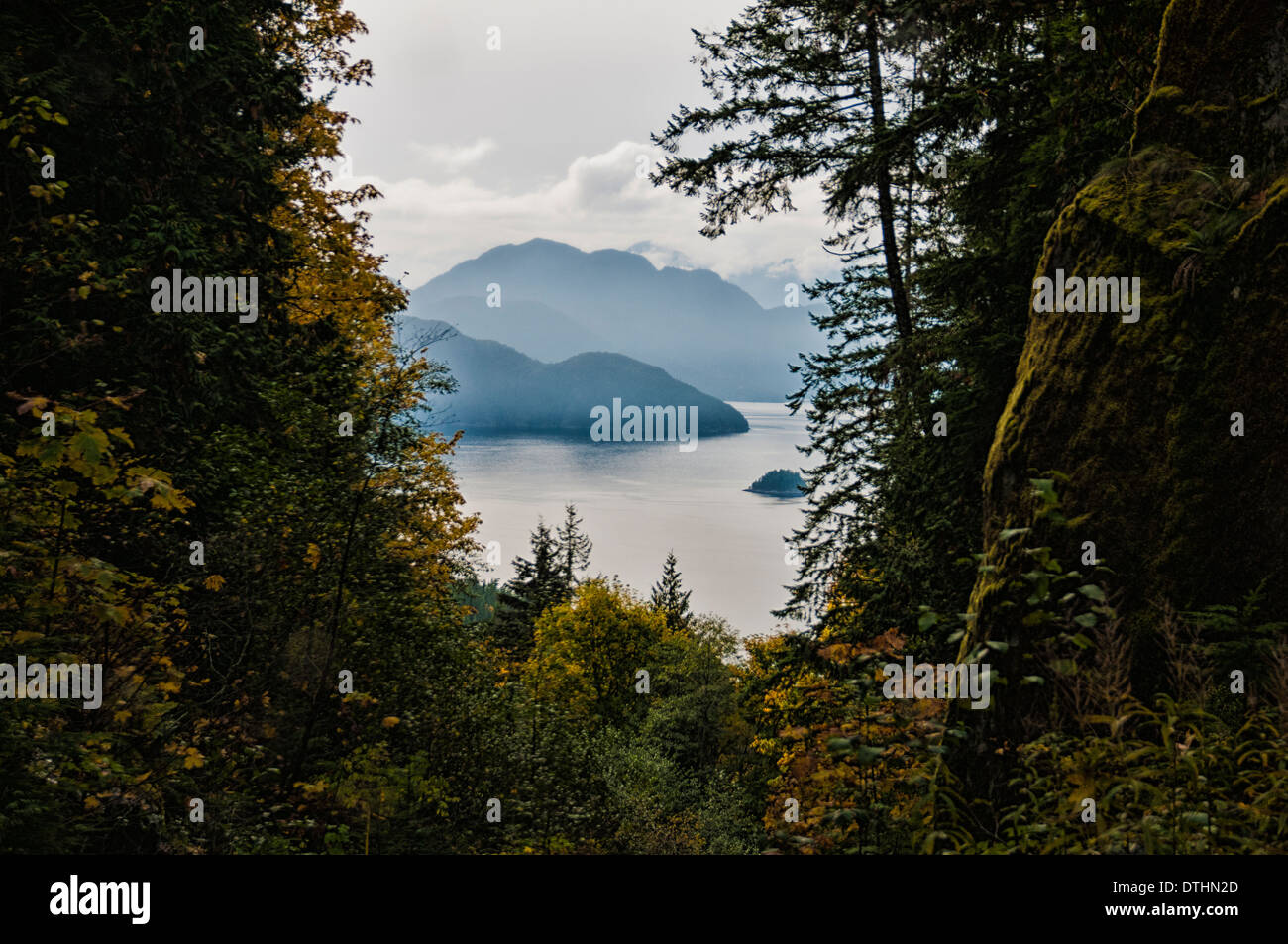 Fall forest leaves with Howe Sound islands in the background. Stock Photo