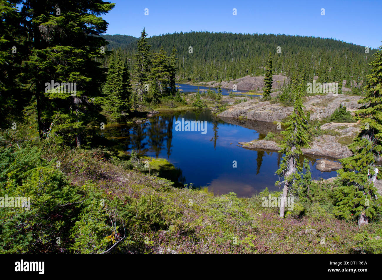 Sub-alpine tarns at the Forbidden Plateau, Strathcona Park, Vancouver Island, BC, Canada in September Stock Photo