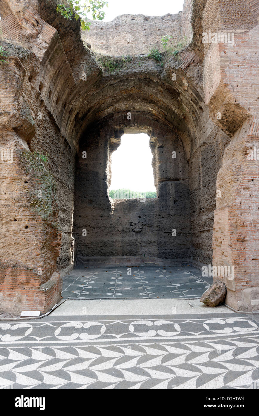 View mosaic floor tiled western apodyterium (dressing room) Baths Caracalla Rome Italy Baths Caracalla Stock Photo