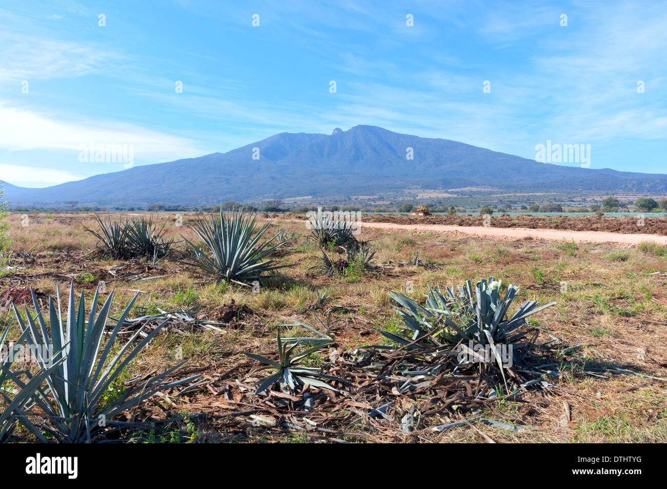Tequila volcano hires stock photography and images Alamy