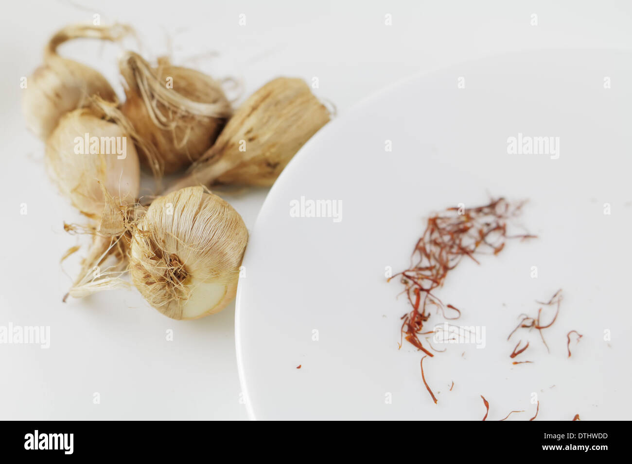 Saffron Corms with Spice on a plate Stock Photo