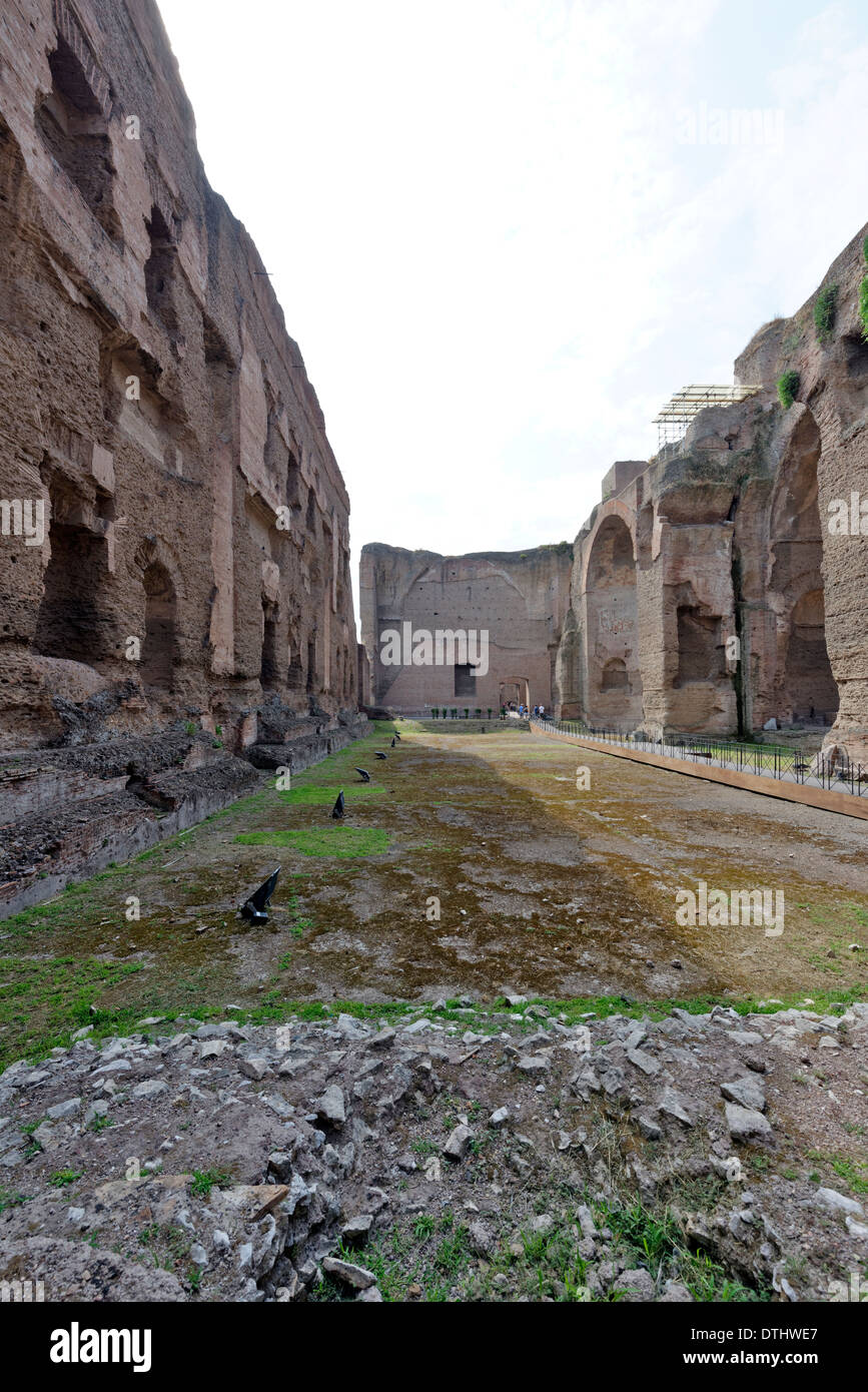 The open-air one metre deep Olympic sized Natatorium or swimming pool at north end Baths Caracalla Rome Italy Baths Stock Photo