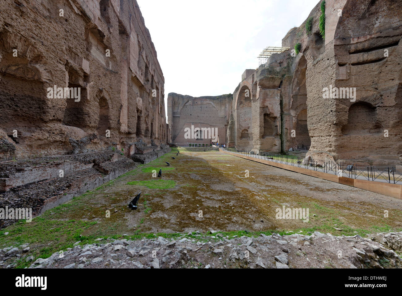 The open-air one metre deep Olympic sized Natatorium or swimming pool at north end Baths Caracalla Rome Italy Baths Stock Photo