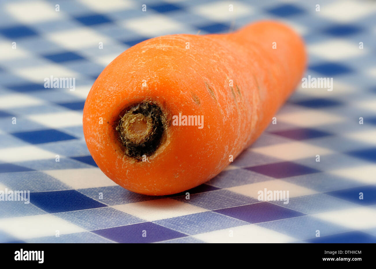 one whole raw carrot on a blue gingham background Stock Photo
