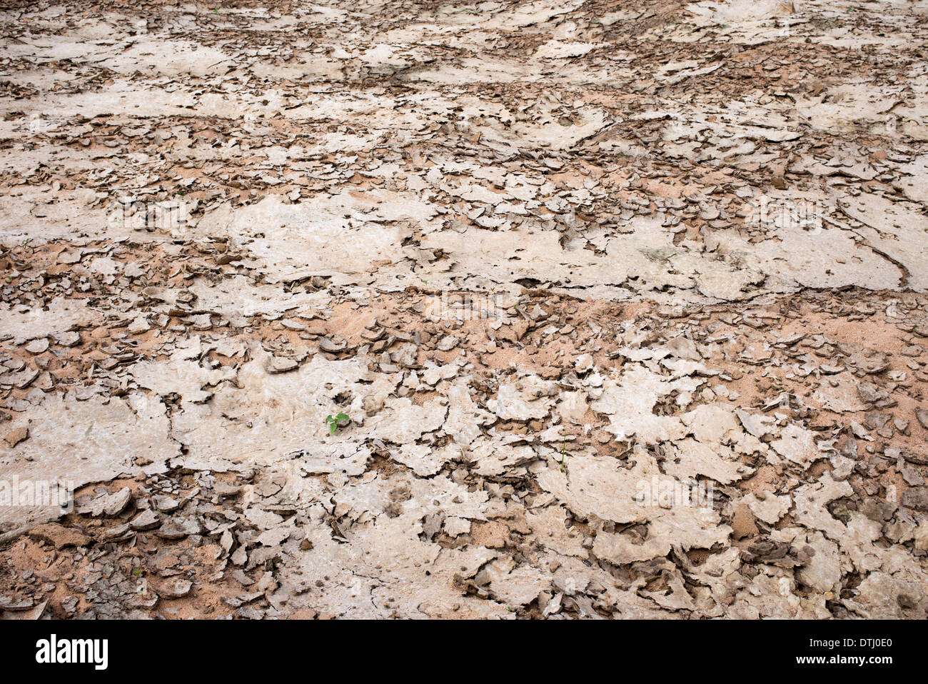 Dried up river bed in India Stock Photo