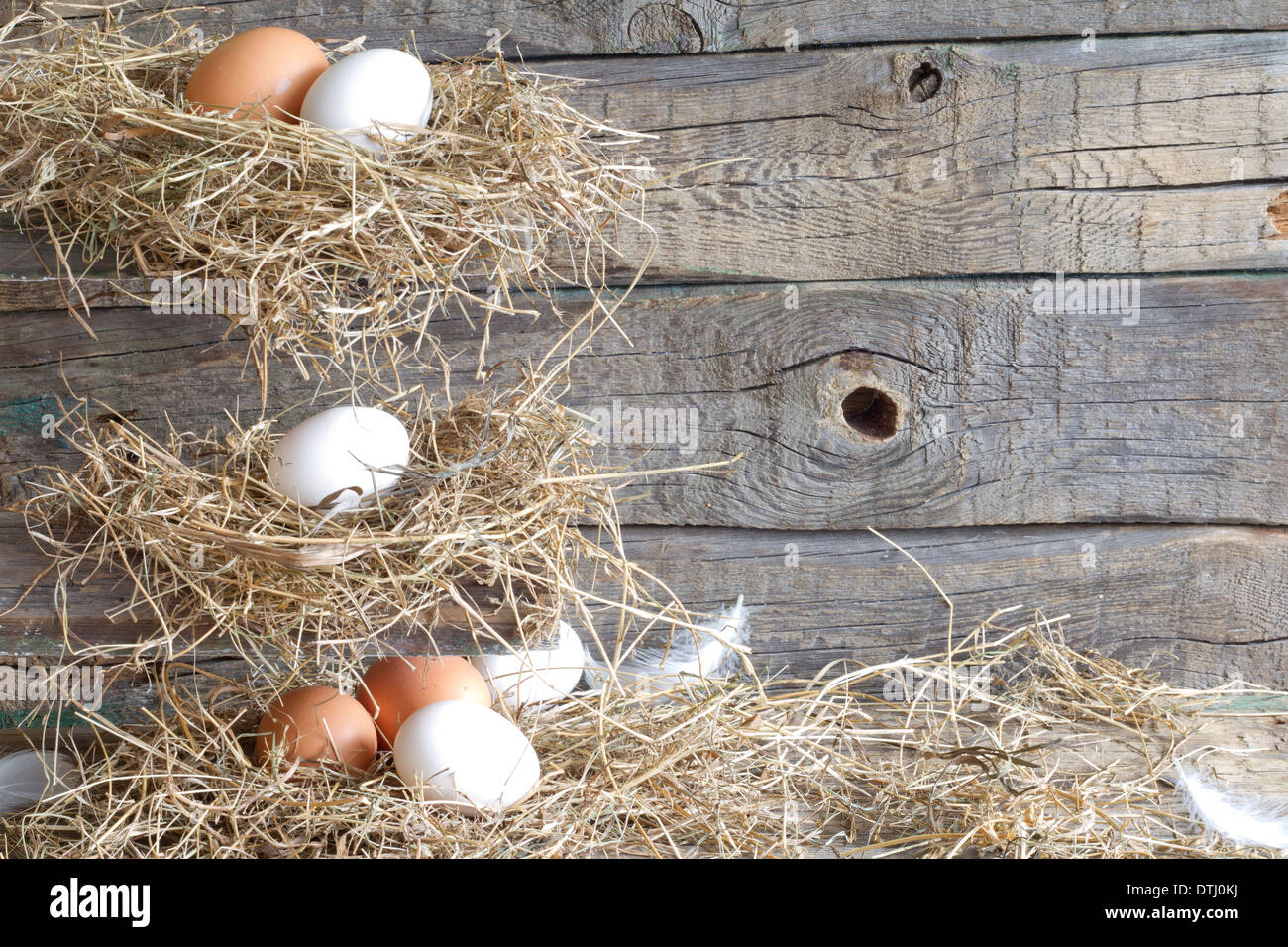 Abstract easter organic eggs on vintage boards in chicken coop concept Stock Photo