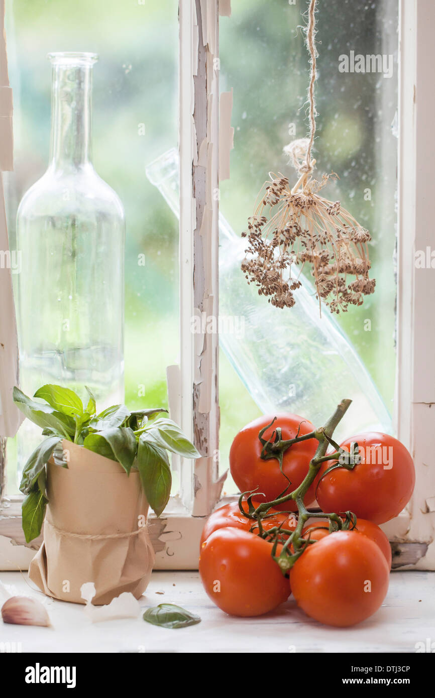 Fresh tomatoes, oldfashion bottles, dill and basil on old windowsill Stock Photo