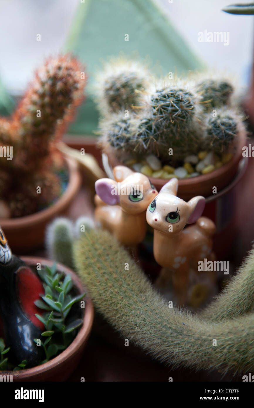 Cacti on Window Sill with Bambi Figurines of home in London UK Stock Photo