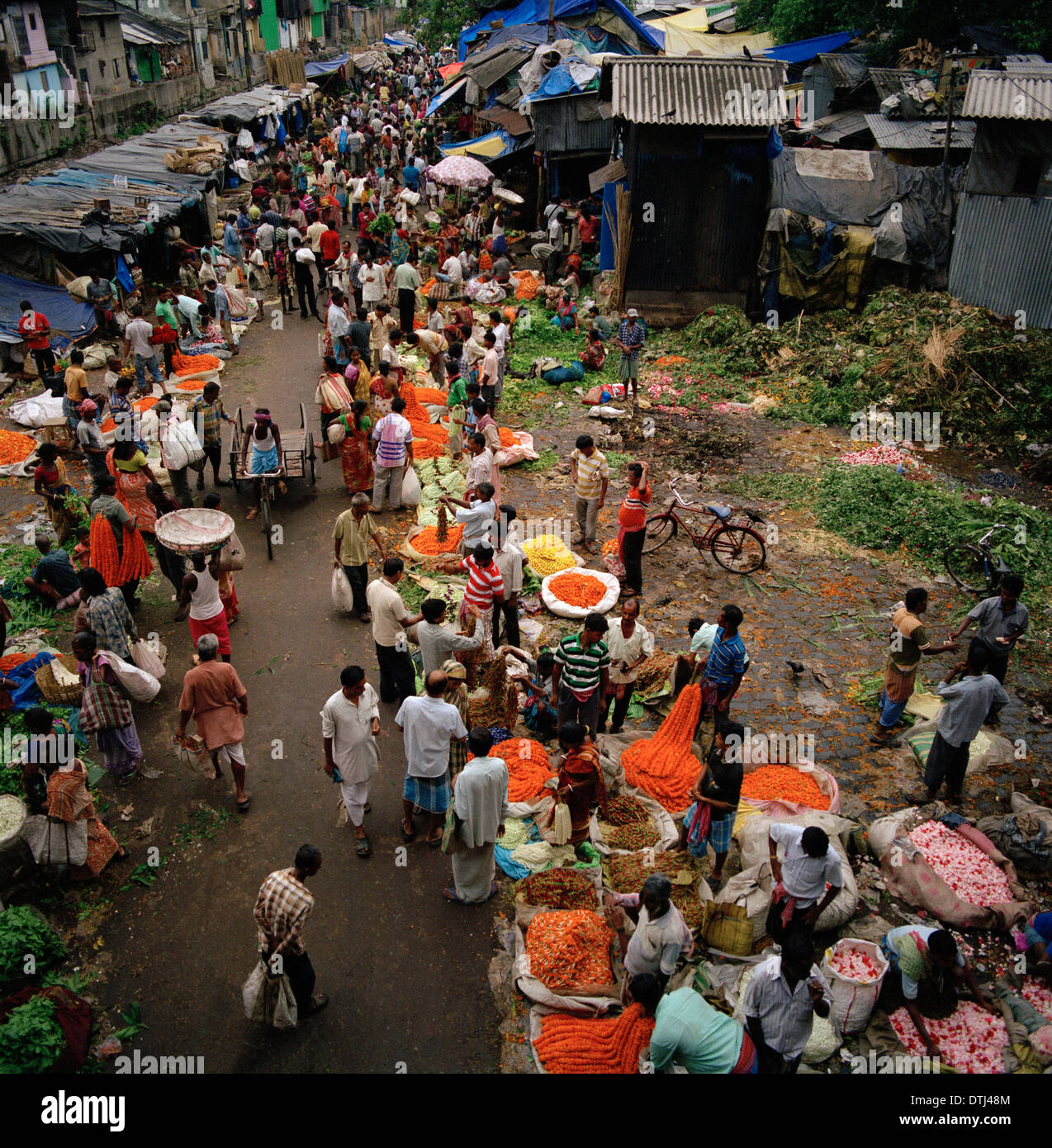 Mullick Ghat Flower Market in Kolkata Calcutta in West Bengal in India in South Asia. Malik Mallick Markets Trade Reportage Flowers Urban City Travel Stock Photo