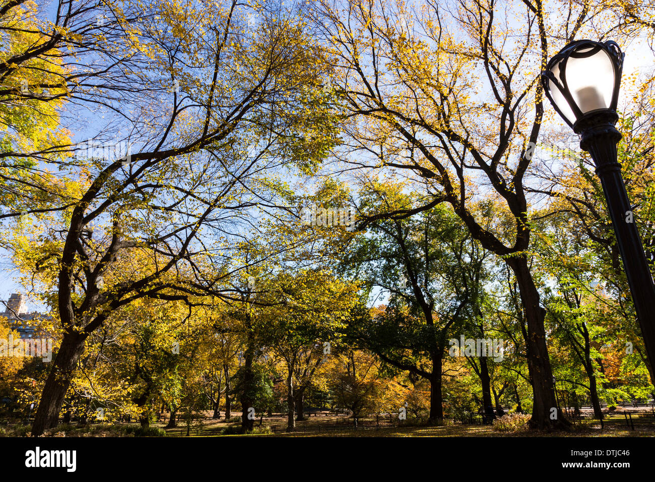 Colorful foliage in trees hi-res stock photography and images - Alamy