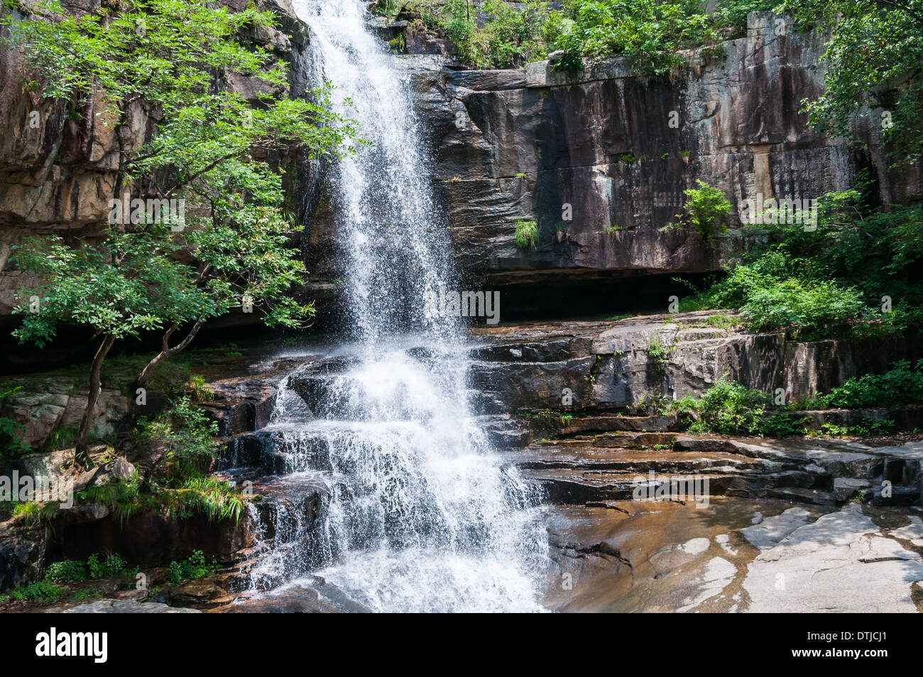 Waterfall in a jungle setting. Stock Photo