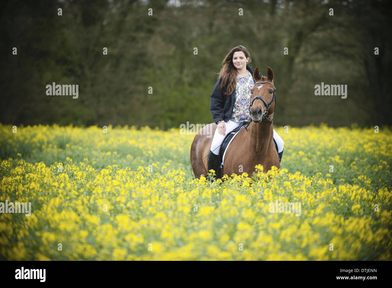 Riding crop hires stock photography and images Alamy