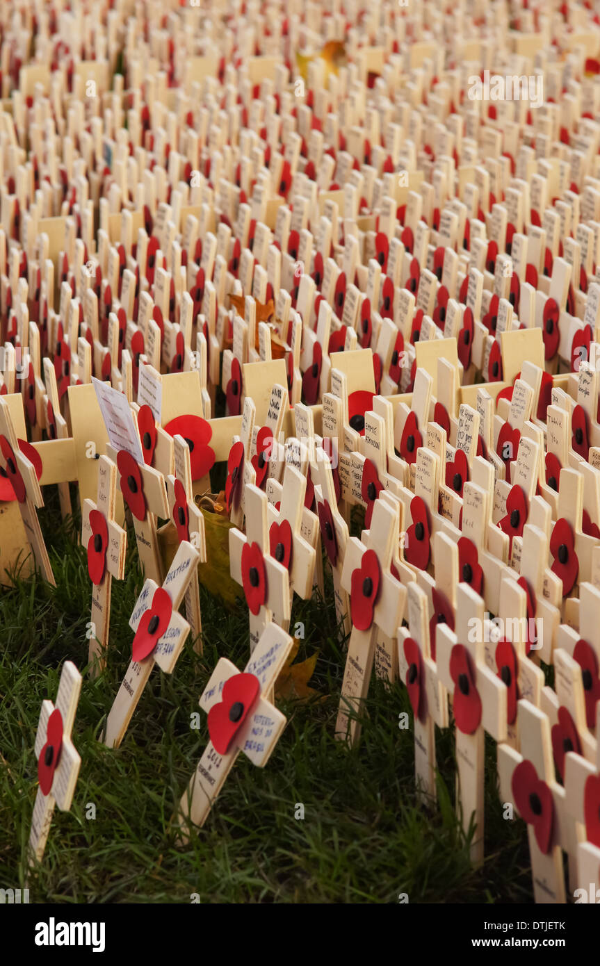 Crosses placed outside Westminster Abbey on Remembrance Day, London England United Kingdom UK Stock Photo